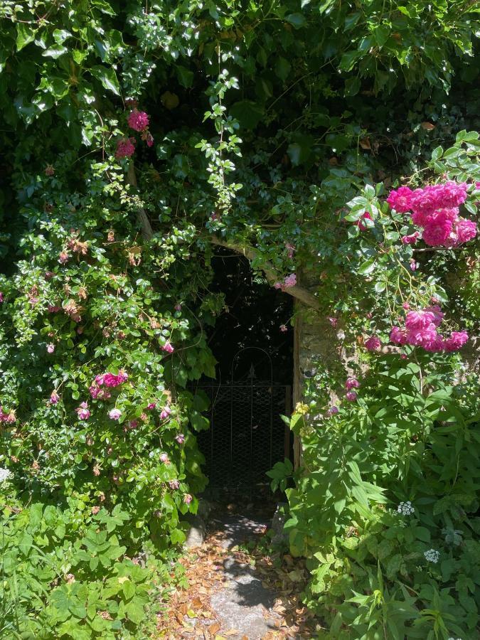 Trinity Lodge Annexe Dorchester Luaran gambar